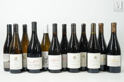 des bouteilles de vin sont alignées sur une surface blanche