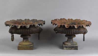 une paire d'urnes anciennes en fonte posées sur des socles, sur fond blanc