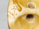 a close up of a banana with a hole in it