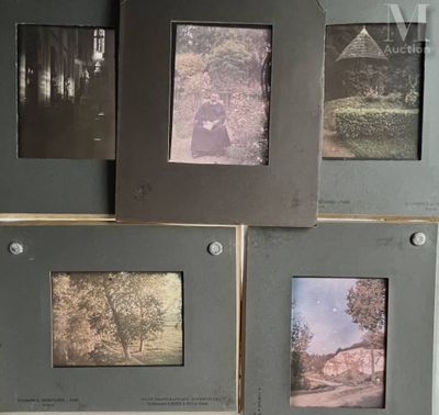 quatre photographies en noir et blanc représentant un couple et un chien dans un parc