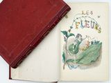 a book with a picture of a fairy sitting on top of it