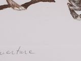 Photo 7/9 du lot