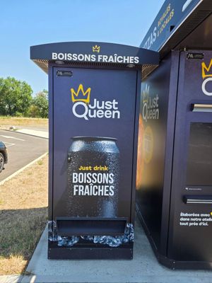 deux poubelles posées au bord de la route