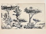 un dessin en noir et blanc représentant des arbres dans une forêt