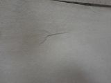 a close up of a piece of paper on a table