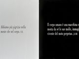 Photo 1/1 du lot