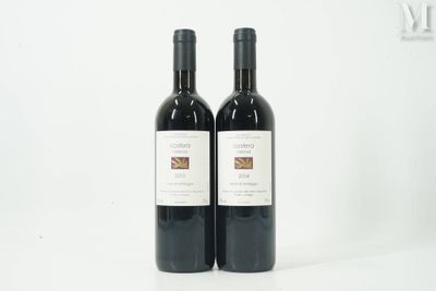 TICINO TICINO, Costera Riserva, Merlot di Monteggio, 1 de 20…