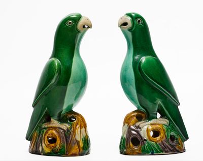 deux oiseaux verts perchés sur une souche d'arbre