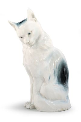 un chat blanc et noir assis sur une surface blanche