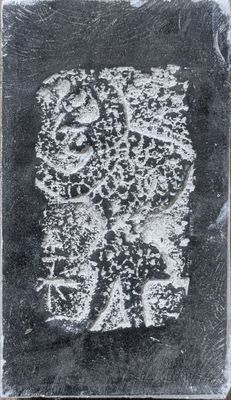an image of a black and white photo of a skull on a piece of paper