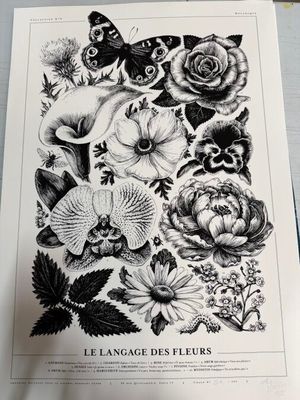 SERGEANT PAPER - Amandine DELAUNAY & divers