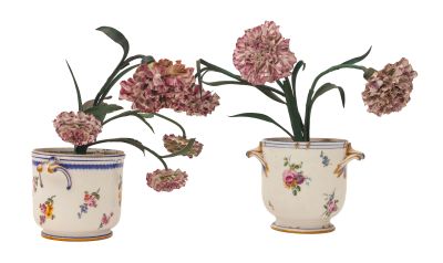 deux vases contenant des fleurs, sur fond blanc