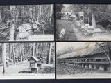 quatre photographies en noir et blanc d'un petit village dans les bois