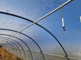 un tunnel dans lequel se trouvent plein de plantes