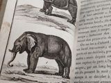 an open book with a picture of an elephant and a rhino