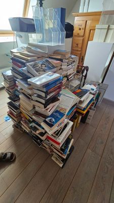 un chat allongé par terre à côté d'une pile de livres