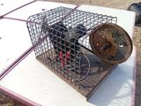 un petit animal dans une cage posée sur une table