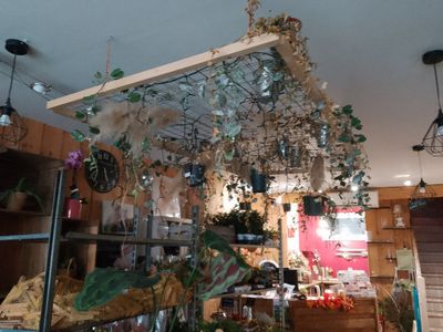 a room filled with lots of plants and a chandelier hanging from the ceiling