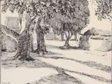 dessin au crayon représentant des arbres dans un parc, avec une clôture et un banc