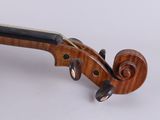 an image of a violin that is sitting on a white surface