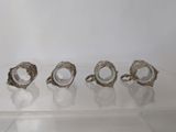 five rings on display in a clear display case