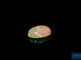 an oplite in the dark with a black background