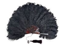Plumes noires, Europe, vers 1890-1900