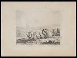 drawing of a herd of sheep grazing in a field with a mountain in the background