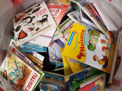 de nombreux livres pour enfants dans un bac en plastique
