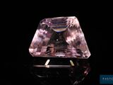 améthorate violet sur une surface noire avec un fond noir