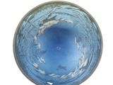a blue bowl with fish in it on a white surface