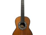 a close up of a guitar on a white background