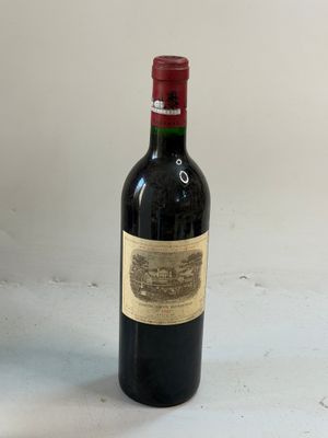 1 bouteille Château lAFITE ROTHSCHILD 1991 1er GCC Pauillac …