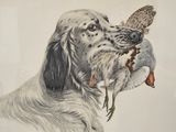 painting of a dog with a bird in its mouth and a bird in its mouth