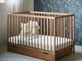 un chien assis dans un lit d'enfant, dans une pièce