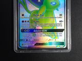 an image of a pokemon card with a green pokemon character