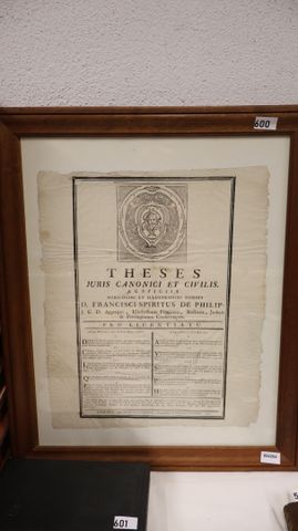 THESES juris canonici et civilis auspiciis nobilissimi et illustr...