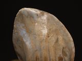 a rock that is sitting on top of a table