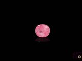 une image représentant une pomme rose posée sur une surface noire