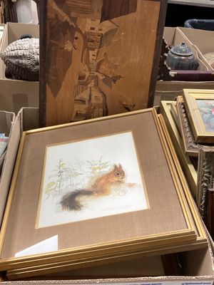 une photo d'une photo d'un écureuil dans une boîte
