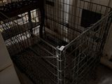 une cage posée dans un coin d'une pièce