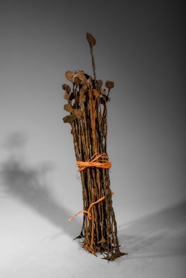un grand morceau de bois sur lequel poussent plusieurs branches