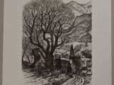 une image représentant un dessin en noir et blanc d'un arbre et d'une église