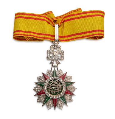 une image représentant une médaille avec un ruban sur fond blanc