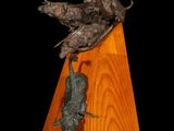 statue of a bird on a wooden pedestal with a black background