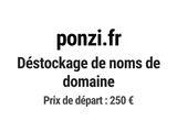 Photo 1/1 du lot