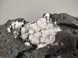 a close up of a rock with a bunch of white rocks