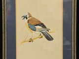 painting of a bird sitting on a branch in a frame