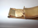 a close up of a gold bracelet with a chain attached to it