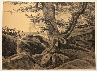 dessin représentant un arbre dans un paysage rocheux, avec des rochers au premier plan